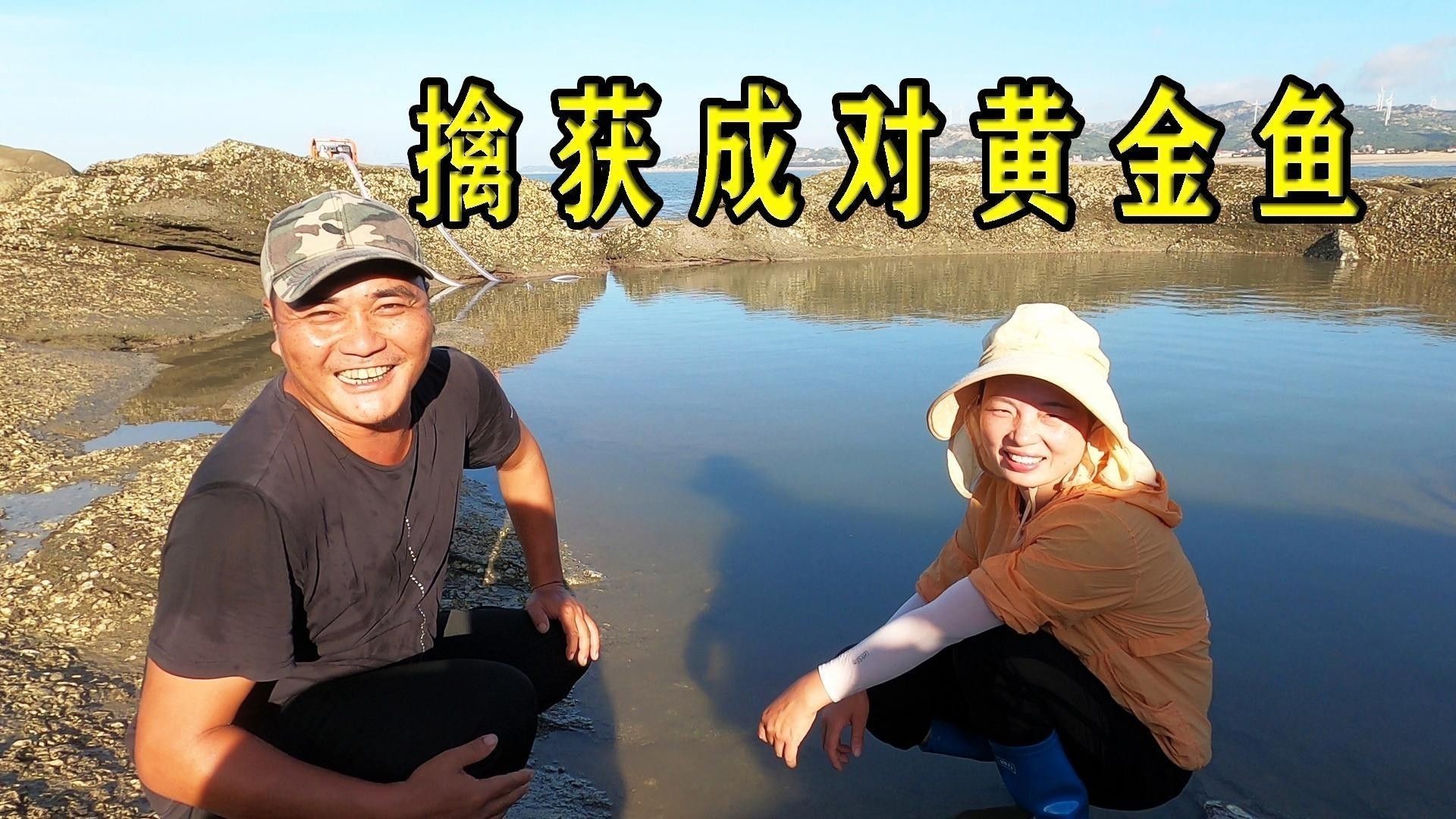 如何消毒和處理紅龍魚的活餌？