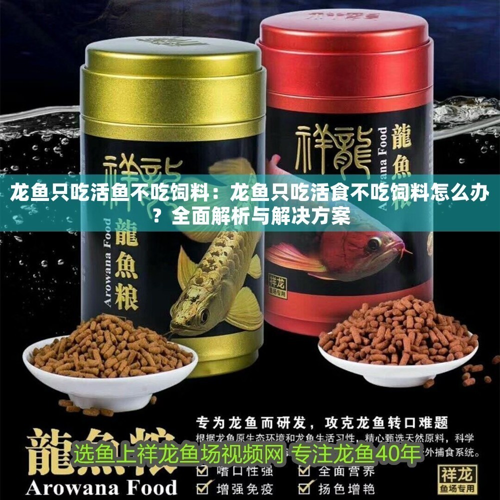 龍魚只吃活魚不吃飼料：龍魚只吃活食不吃飼料怎么辦？全面解析與解決方案