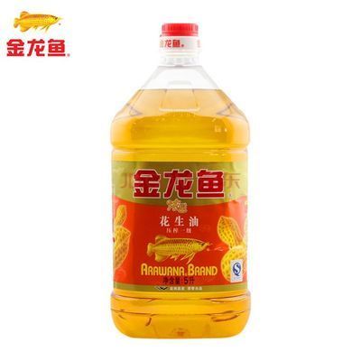 金龍魚護理：關于金龍魚護理的要點