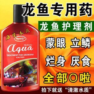金龍魚護理：關于金龍魚護理的要點