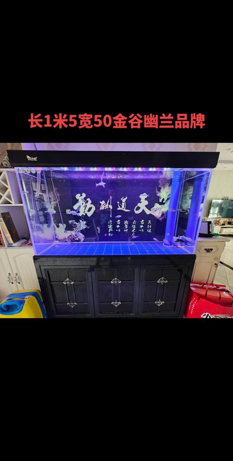 龍魚五大品牌魚缸圖片