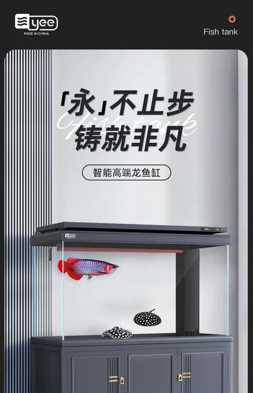龍魚五大品牌魚缸圖片