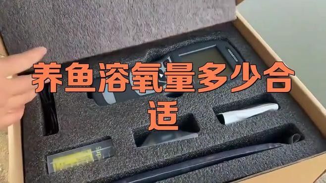 龍魚(yú)趴缸底是怎么回事視頻教學(xué)圖解