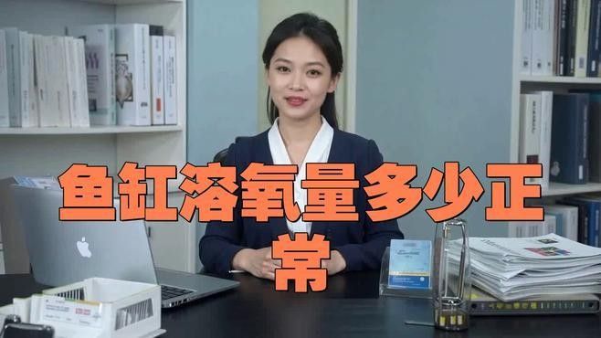 龍魚(yú)趴缸底是怎么回事視頻教學(xué)圖解