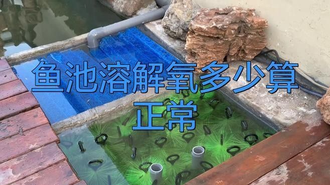 龍魚(yú)趴缸底是怎么回事視頻教學(xué)圖解