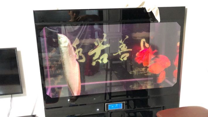 金龍魚跳缸有點炸魚鱗（如何預防金龍魚炸鱗）