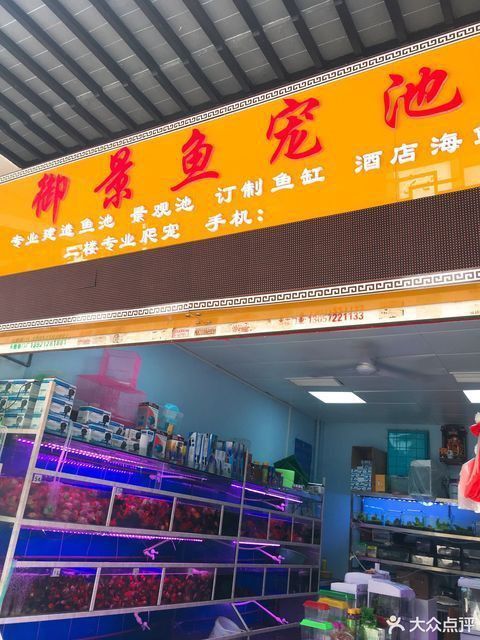無錫龍魚專賣店電話地址