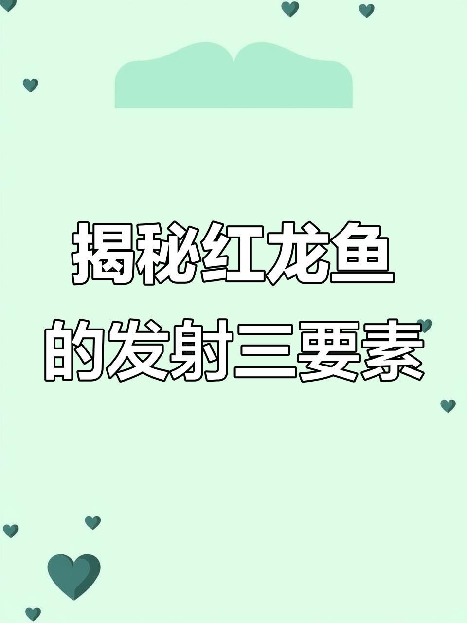 帝龍紅龍魚的最佳飼養環境