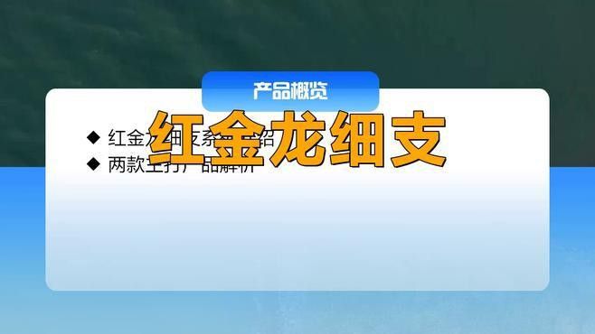 推薦幾款紅金龍香煙中的經典款