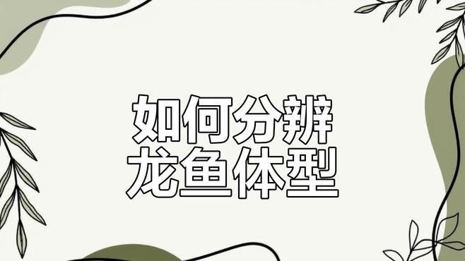 龍魚水溫控制多少合適養蝦