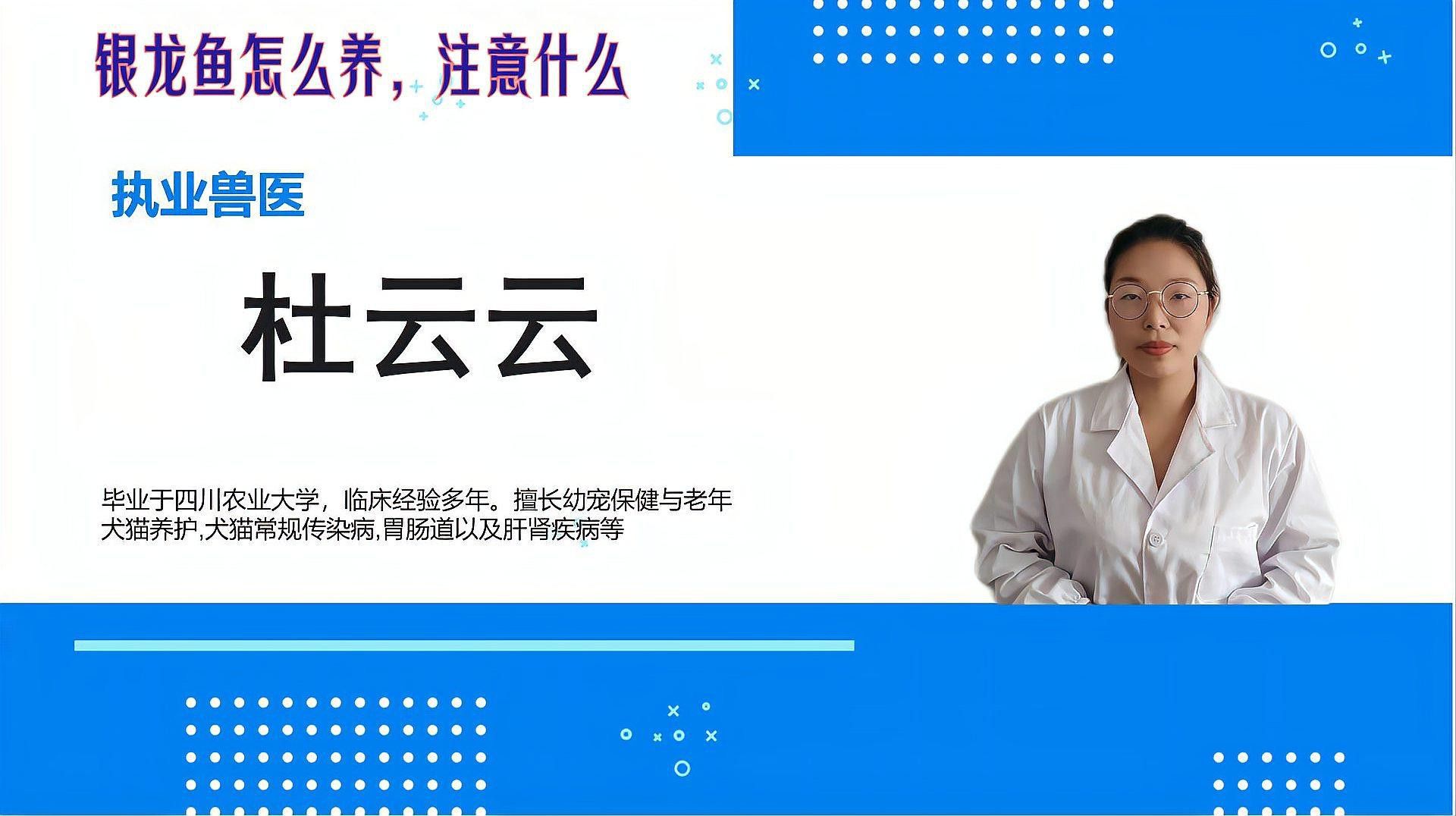 養銀龍魚要注意什么事項和飲食要求視頻