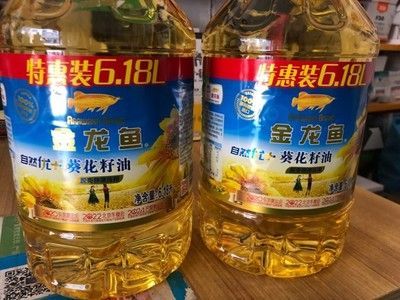 金龍魚價(jià)格為什么這么貴呢，探究金龍魚價(jià)格居高不下的原因