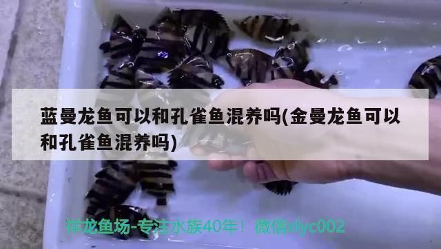 龍魚缸排行榜前十名：十個龍魚缸品牌排行榜：深海之戀、森森(sunsun)