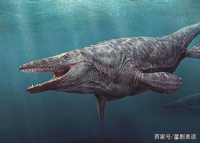 電影中有描述龍的捕食場景嗎？