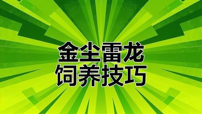 金塵雷龍難養嗎 金塵雷龍難養嗎 龍魚百科 第6張