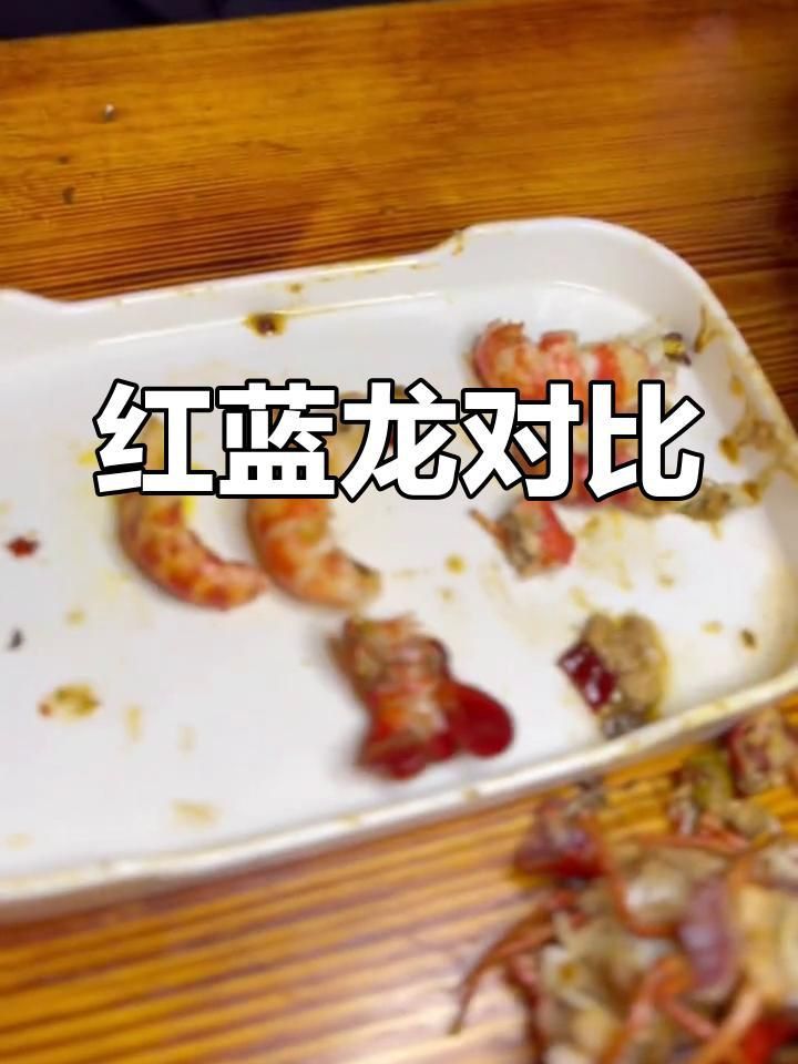 孔雀魚藍龍和紅龍區別