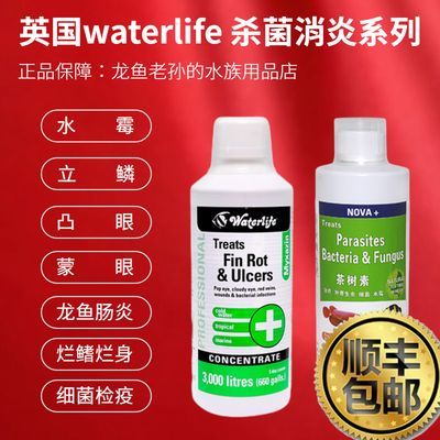 龍魚水霉用土霉素可以嗎（土霉素可以治療龍魚嗎）