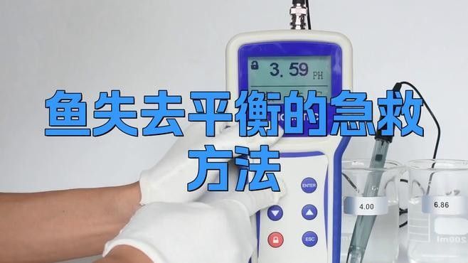 龍魚身體傾斜游動怎么辦