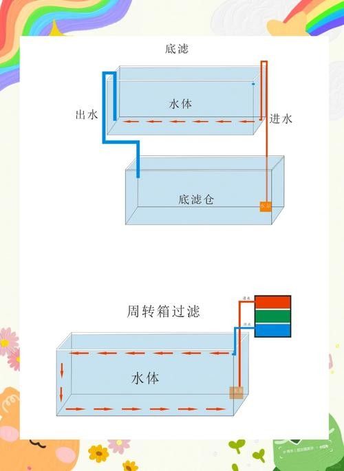 龍魚死亡后如何清理魚缸？