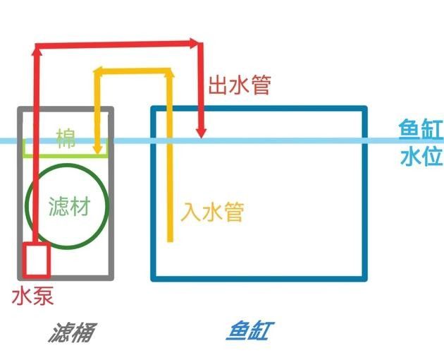 龍魚死亡后如何清理魚缸？