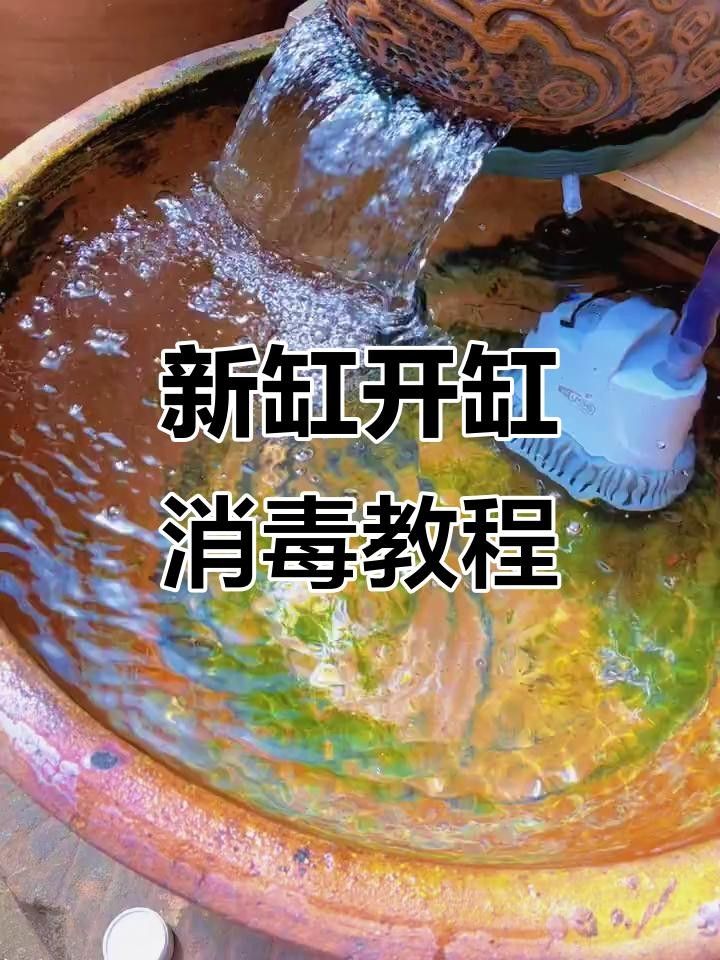 龍魚死亡后如何清理魚缸？