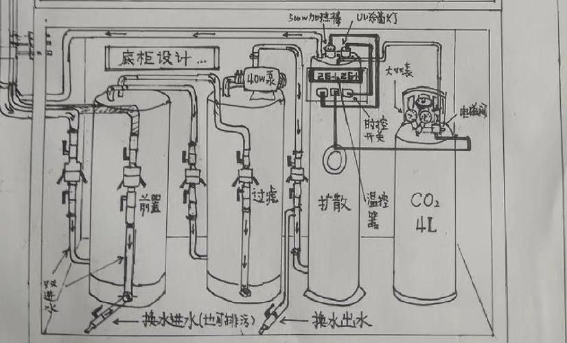 龍魚死亡后如何清理魚缸？
