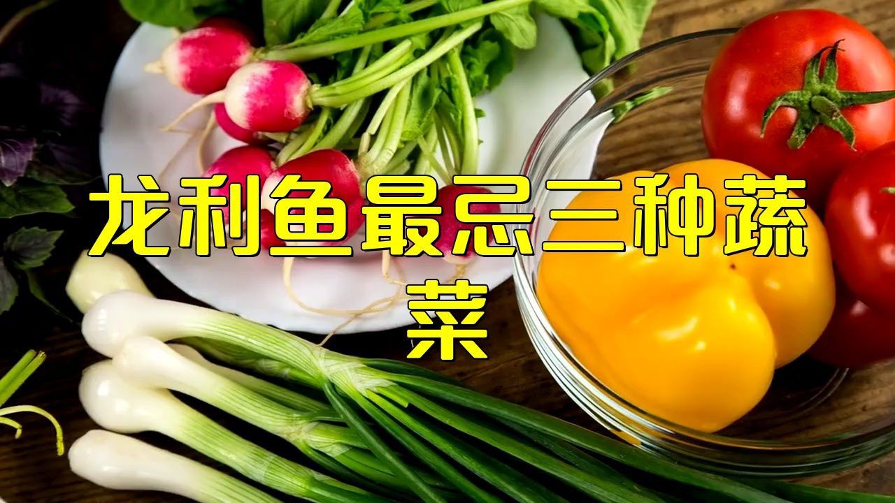 龍魚藍(lán)底最忌三種菜