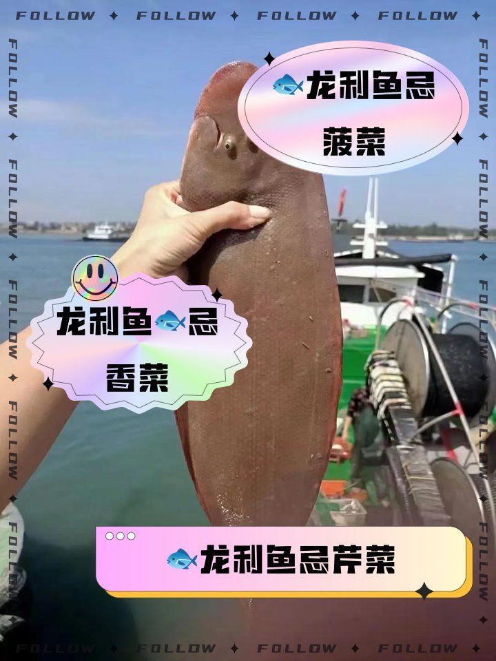 龍魚藍(lán)底最忌三種菜