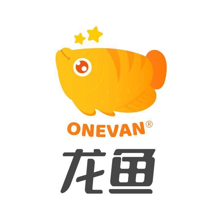 北京龍魚品牌怎么樣知乎文章