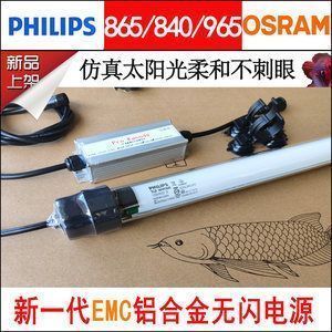 紅金龍魚價(jià)格走勢(shì)圖表：紅色金龍魚價(jià)格走勢(shì)分析圖表