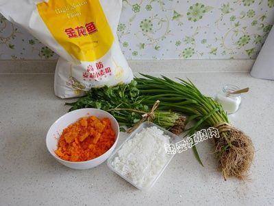金龍魚的制作過程作文：金龍魚是一種美麗的觀賞魚，它們在水族箱中熠熠生輝