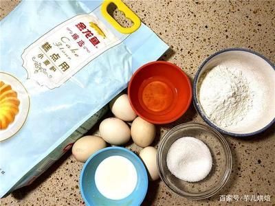 金龍魚的制作過程作文：金龍魚是一種美麗的觀賞魚，它們在水族箱中熠熠生輝
