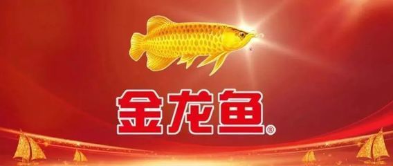什么牌子的金龍魚好一點呢（金龍魚主要產品）