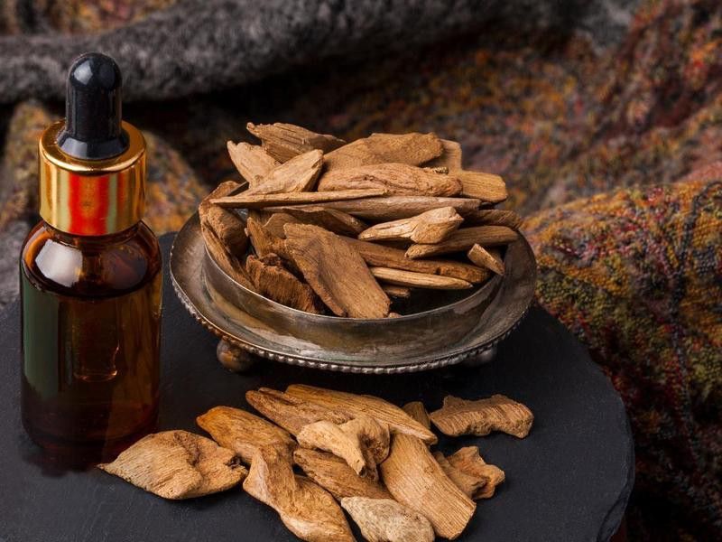 給我一些紅龍涎的專業香料論壇推薦