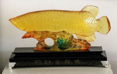 金龍魚抱卵：金龍魚在自然環(huán)境中會(huì)選擇合適的條件下產(chǎn)卵，金龍魚產(chǎn)卵有什么表現(xiàn)