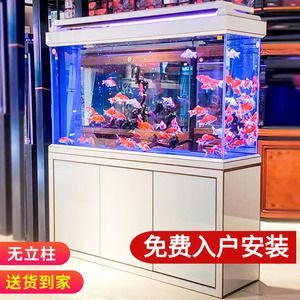 龍魚鯊魚混養(yǎng)：龍魚與鯊魚的混養(yǎng)并不適合混養(yǎng)，龍魚與鯊魚的混養(yǎng)指南