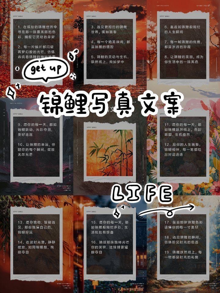 錦鯉昵圖網