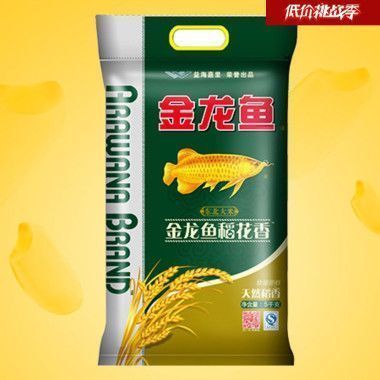 金龍魚體型長的好還是短的好呢（金龍魚的體型偏好）