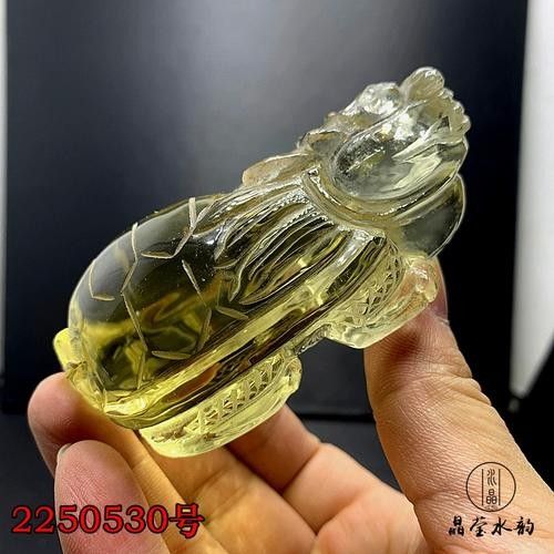 龍頭龜哪個材質最好？