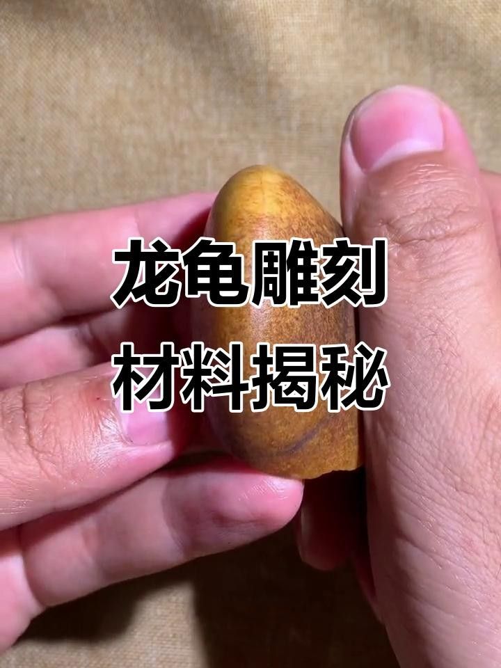 龍頭龜哪個材質最好？