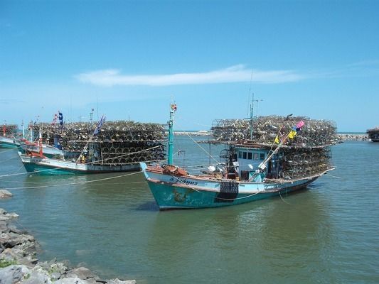 龍魚專用燈的性價比排行:2024年龍魚專用燈性價比排行 龍魚百科 第3張 龍魚專用燈的性價比排行:2024年龍魚專用燈性價比排行 龍魚專用燈的性價比排行:2024年龍魚專用燈性價比排行 龍魚百科 第3張