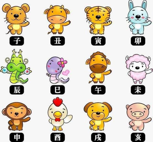 什么屬相不能養金龍魚：生肖蛇和生肖馬的人不適合養金龍魚