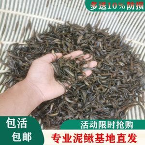 養殖龍魚利潤空間大嗎（養殖龍魚的利潤空間）