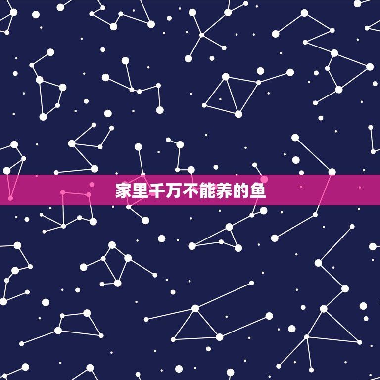 藍底魚缸養金龍魚怎么樣：使用藍色背景的魚缸養金龍魚可以嗎