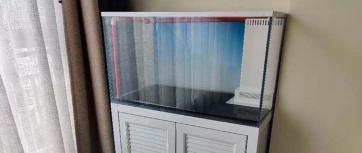 水族器材購買常見問題解答：如何選擇合適的水族箱