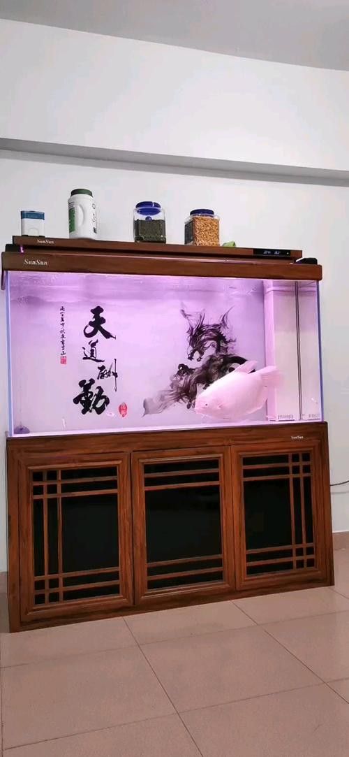 推薦幾款適合混養(yǎng)龍魚和招財魚的過濾器