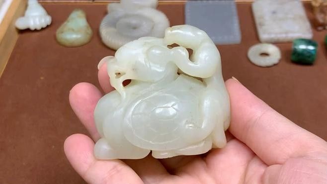龍龜收藏中哪些材質價格最高