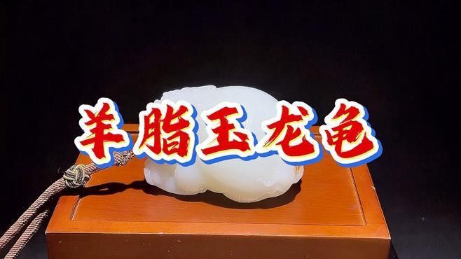 龍龜收藏中哪些材質價格最高