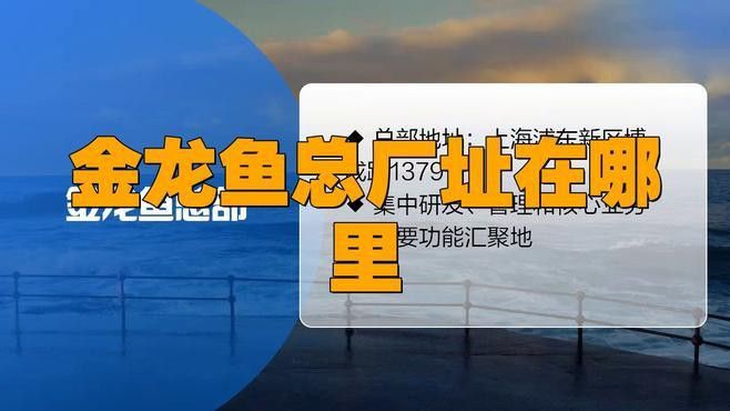 金龍魚品牌的內涵和意義
