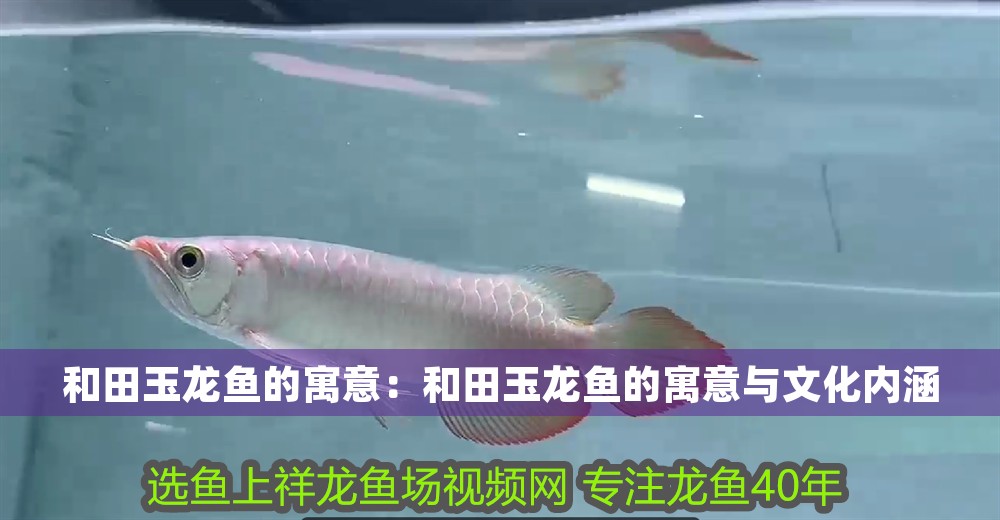 龍魚趴缸多久能恢復過來活動狀態：龍魚趴缸后如何恢復活動狀態